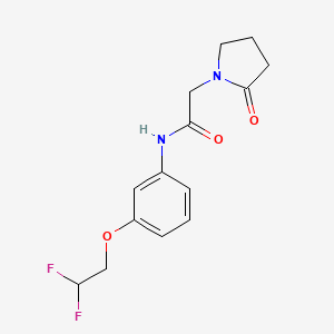 N-[3-(2,2-difluoroethoxy)phenyl]-2-(2-oxopyrrolidin-1-yl)acetamide