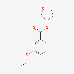 molecular formula C13H16O4 B7659030 [(3S)-oxolan-3-yl] 3-ethoxybenzoate 