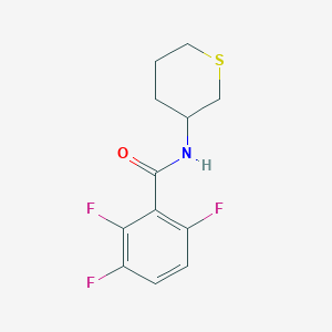 2,3,6-trifluoro-N-(thian-3-yl)benzamide