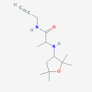 molecular formula C14H24N2O2 B7664981 N-prop-2-ynyl-2-[(2,2,5,5-tetramethyloxolan-3-yl)amino]propanamide 