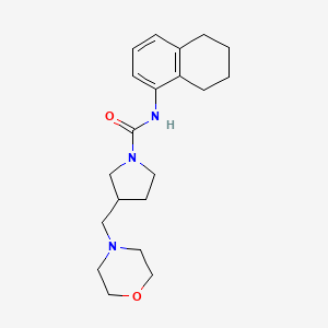 molecular formula C20H29N3O2 B7665635 3-(morpholin-4-ylmethyl)-N-(5,6,7,8-tetrahydronaphthalen-1-yl)pyrrolidine-1-carboxamide 