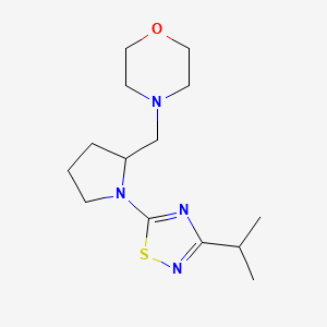 4-[[1-(3-Propan-2-yl-1,2,4-thiadiazol-5-yl)pyrrolidin-2-yl]methyl]morpholine