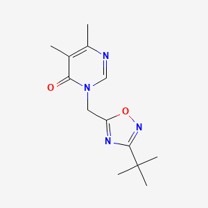 molecular formula C13H18N4O2 B7670530 3-[(3-Tert-butyl-1,2,4-oxadiazol-5-yl)methyl]-5,6-dimethylpyrimidin-4-one 