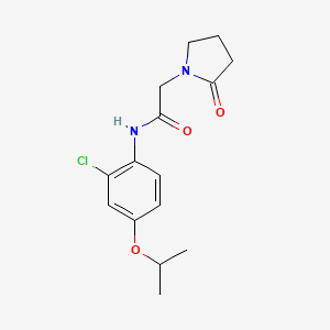 molecular formula C15H19ClN2O3 B7670647 N-(2-chloro-4-propan-2-yloxyphenyl)-2-(2-oxopyrrolidin-1-yl)acetamide 