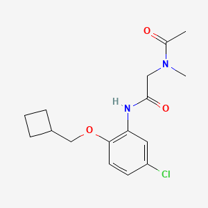 molecular formula C16H21ClN2O3 B7671072 2-[acetyl(methyl)amino]-N-[5-chloro-2-(cyclobutylmethoxy)phenyl]acetamide 