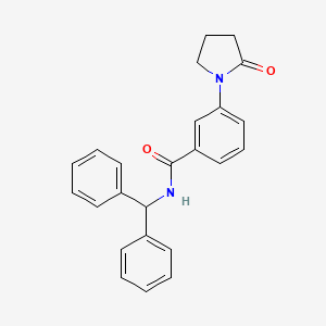 N-benzhydryl-3-(2-oxopyrrolidin-1-yl)benzamide