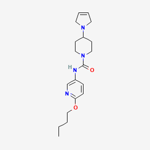 molecular formula C19H28N4O2 B7672331 N-(6-butoxypyridin-3-yl)-4-(2,5-dihydropyrrol-1-yl)piperidine-1-carboxamide 