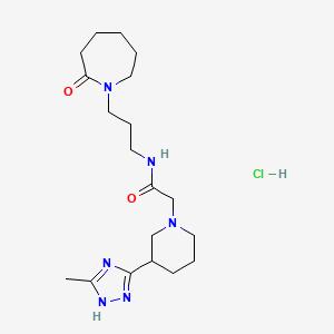 molecular formula C19H33ClN6O2 B7673569 2-[3-(5-methyl-1H-1,2,4-triazol-3-yl)piperidin-1-yl]-N-[3-(2-oxoazepan-1-yl)propyl]acetamide;hydrochloride 