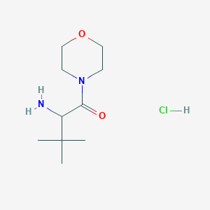 molecular formula C10H21ClN2O2 B7674308 2-Amino-3,3-dimethyl-1-morpholin-4-ylbutan-1-one;hydrochloride 