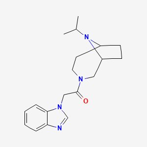 molecular formula C19H26N4O B7675180 2-(Benzimidazol-1-yl)-1-(9-propan-2-yl-3,9-diazabicyclo[4.2.1]nonan-3-yl)ethanone 