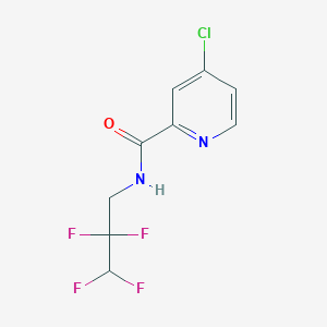 4-chloro-N-(2,2,3,3-tetrafluoropropyl)pyridine-2-carboxamide