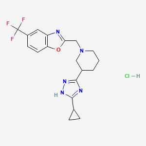 molecular formula C19H21ClF3N5O B7675779 2-[[3-(5-cyclopropyl-1H-1,2,4-triazol-3-yl)piperidin-1-yl]methyl]-5-(trifluoromethyl)-1,3-benzoxazole;hydrochloride 