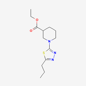 molecular formula C13H21N3O2S B7676358 Ethyl 1-(5-propyl-1,3,4-thiadiazol-2-yl)piperidine-3-carboxylate 