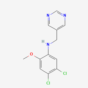 4,5-dichloro-2-methoxy-N-(pyrimidin-5-ylmethyl)aniline