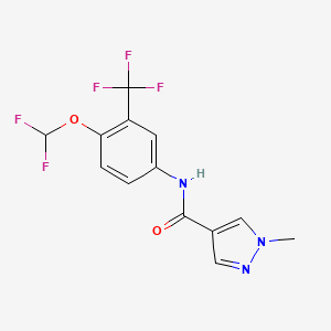 molecular formula C13H10F5N3O2 B7679545 N-[4-(difluoromethoxy)-3-(trifluoromethyl)phenyl]-1-methylpyrazole-4-carboxamide 