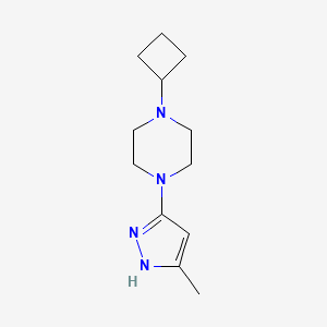 molecular formula C12H20N4 B7679731 1-cyclobutyl-4-(5-methyl-1H-pyrazol-3-yl)piperazine 