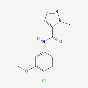 molecular formula C12H12ClN3O2 B7679889 N-(4-chloro-3-methoxyphenyl)-2-methylpyrazole-3-carboxamide 