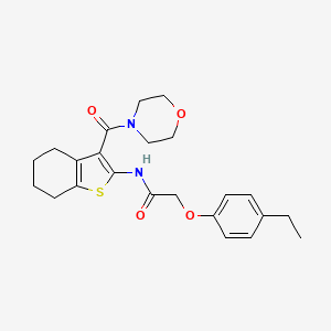 molecular formula C23H28N2O4S B7680656 2-(4-ethylphenoxy)-N-[3-(morpholine-4-carbonyl)-4,5,6,7-tetrahydro-1-benzothiophen-2-yl]acetamide 