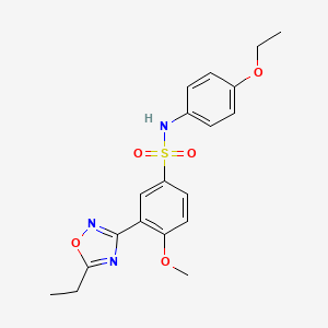 molecular formula C19H21N3O5S B7683713 N-(4-ethoxyphenyl)-3-(5-ethyl-1,2,4-oxadiazol-3-yl)-4-methoxybenzenesulfonamide 