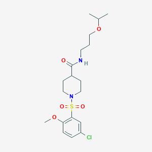 molecular formula C19H29ClN2O5S B7685387 1-(5-CHLORO-2-METHOXYBENZENESULFONYL)-N-[3-(PROPAN-2-YLOXY)PROPYL]PIPERIDINE-4-CARBOXAMIDE 