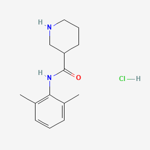 molecular formula C14H21ClN2O B7685921 N-(2,6-dimethylphenyl)piperidine-3-carboxamide CAS No. 439287-14-6