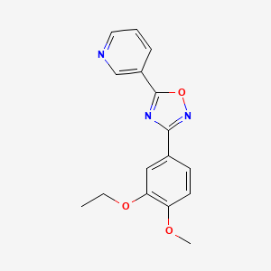 molecular formula C16H15N3O3 B7688528 3-(3-ethoxy-4-methoxyphenyl)-5-(pyridin-3-yl)-1,2,4-oxadiazole 