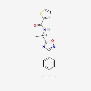 molecular formula C19H21N3O2S B7689022 N-(1-(3-(4-(tert-butyl)phenyl)-1,2,4-oxadiazol-5-yl)ethyl)thiophene-2-carboxamide 