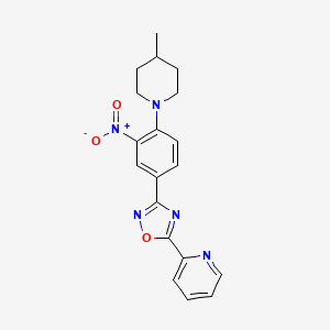3-(4-(4-methylpiperidin-1-yl)-3-nitrophenyl)-5-(pyridin-2-yl)-1,2,4-oxadiazole