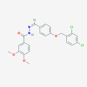 molecular formula C23H20Cl2N2O4 B7690376 N'-[(E)-(2,4-dimethoxyphenyl)methylidene]-3,4-dimethoxybenzohydrazide 