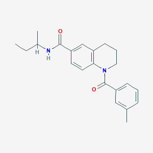 molecular formula C22H26N2O2 B7691170 1-(3-methylbenzoyl)-6-(pyrrolidine-1-carbonyl)-1,2,3,4-tetrahydroquinoline 