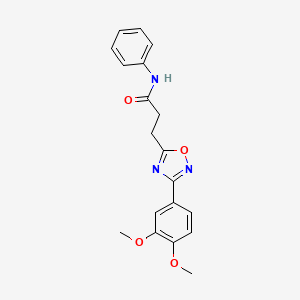 molecular formula C19H19N3O4 B7691523 3-(3-(3,4-dimethoxyphenyl)-1,2,4-oxadiazol-5-yl)-N-phenylpropanamide 
