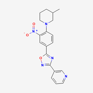 molecular formula C19H19N5O3 B7692774 5-(4-(3-methylpiperidin-1-yl)-3-nitrophenyl)-3-(pyridin-3-yl)-1,2,4-oxadiazole 