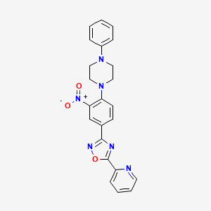 molecular formula C23H20N6O3 B7692778 3-(3-nitro-4-(4-phenylpiperazin-1-yl)phenyl)-5-(pyridin-2-yl)-1,2,4-oxadiazole 