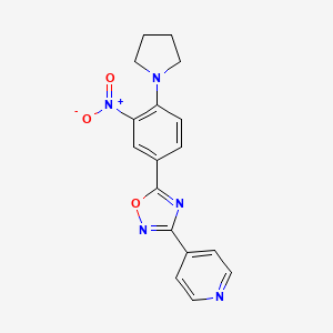 molecular formula C17H15N5O3 B7693070 5-(3-nitro-4-(pyrrolidin-1-yl)phenyl)-3-(pyridin-4-yl)-1,2,4-oxadiazole 