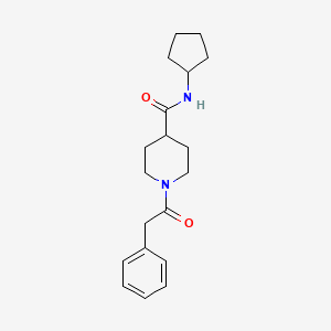 molecular formula C19H26N2O2 B7693078 N-cyclopentyl-1-(2-phenylacetyl)piperidine-4-carboxamide 