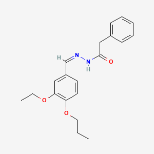 molecular formula C20H24N2O3 B7695320 N'-[(E)-[3-ethoxy-4-(prop-2-en-1-yloxy)phenyl]methylidene]-2-phenylacetohydrazide 