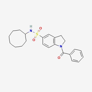 molecular formula C23H28N2O3S B7699899 1-benzoyl-N-cyclooctylindoline-5-sulfonamide 