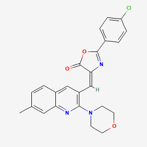 molecular formula C24H20ClN3O3 B7700638 (E)-2-(4-chlorophenyl)-4-((7-methyl-2-morpholinoquinolin-3-yl)methylene)oxazol-5(4H)-one 