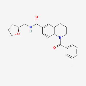 molecular formula C23H26N2O3 B7700648 N-(2,5-dimethoxyphenyl)-1-(3-methylbenzoyl)-1,2,3,4-tetrahydroquinoline-6-carboxamide 