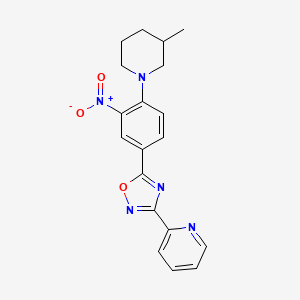 5-(4-(3-methylpiperidin-1-yl)-3-nitrophenyl)-3-(pyridin-2-yl)-1,2,4-oxadiazole