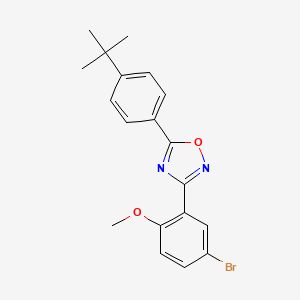 molecular formula C19H19BrN2O2 B7702284 3-(5-bromo-2-methoxyphenyl)-5-(4-(tert-butyl)phenyl)-1,2,4-oxadiazole 