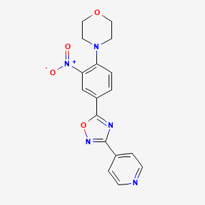 4-(2-nitro-4-(3-(pyridin-4-yl)-1,2,4-oxadiazol-5-yl)phenyl)morpholine