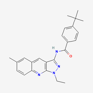 molecular formula C24H26N4O B7703518 4-(tert-butyl)-N-(1-ethyl-6-methyl-1H-pyrazolo[3,4-b]quinolin-3-yl)benzamide 