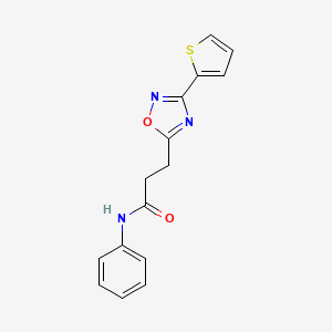 N-phenyl-3-(3-(thiophen-2-yl)-1,2,4-oxadiazol-5-yl)propanamide