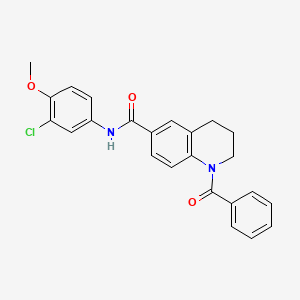 molecular formula C24H21ClN2O3 B7704570 1-benzoyl-N-(3-chloro-4-methylphenyl)-1,2,3,4-tetrahydroquinoline-6-carboxamide 