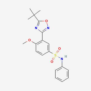 3-(5-(tert-butyl)-1,2,4-oxadiazol-3-yl)-4-methoxy-N-phenylbenzenesulfonamide