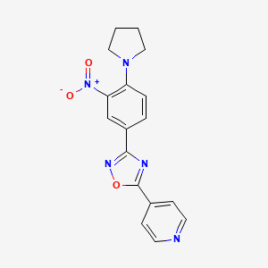 molecular formula C17H15N5O3 B7709277 3-(3-nitro-4-(pyrrolidin-1-yl)phenyl)-5-(pyridin-4-yl)-1,2,4-oxadiazole 