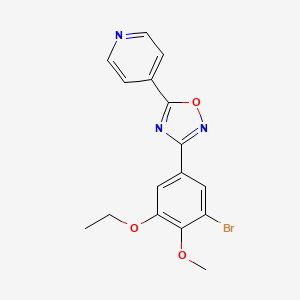molecular formula C16H14BrN3O3 B7710913 3-(3-bromo-5-ethoxy-4-methoxyphenyl)-5-(pyridin-4-yl)-1,2,4-oxadiazole 