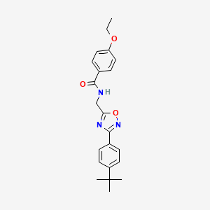 molecular formula C22H25N3O3 B7712178 N-((3-(4-(tert-butyl)phenyl)-1,2,4-oxadiazol-5-yl)methyl)-4-ethoxybenzamide 