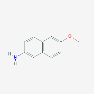 molecular formula C11H11NO B077124 6-Methoxynaphthalen-2-amine CAS No. 13101-88-7